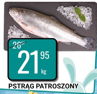 bi1 Pstrąg patroszony 1kg oferta