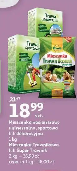 Auchan Trawa sportowa 1 SZT 1 KG oferta