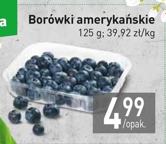 Stokrotka Borówki amerykańskie 125g oferta