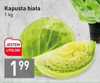 Stokrotka Kapusta biała 1kg oferta