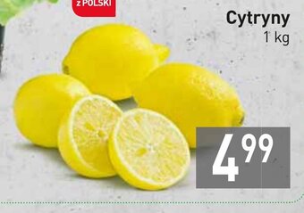 Stokrotka Cytryny 1kg oferta