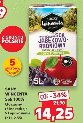 Kaufland Sady Wincenta Sok 100% 5l oferta