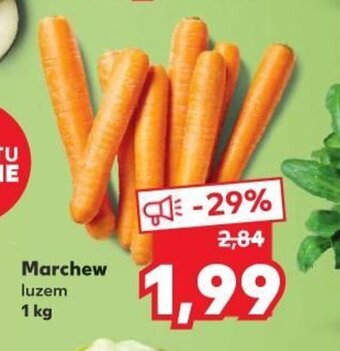 Kaufland Marchew 1kg oferta