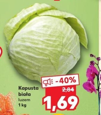 Kaufland Kapusta biała 1kg oferta