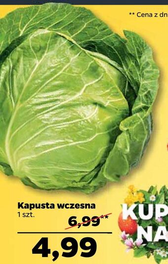 Netto Kapusta wczesna oferta