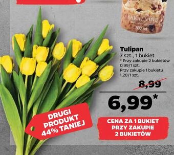 Netto Tulipan oferta
