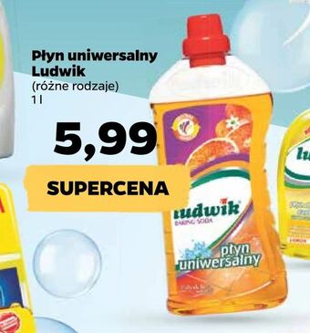 Netto Płyn uniwersalny Ludwik oferta