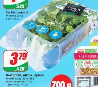 Dino Roszponka 1 SZT 100 G oferta