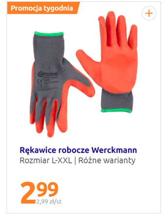 Action Rękawice robocze Werckmann oferta