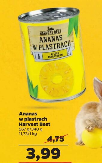 Netto Ananas w plastrach Harvest Best oferta