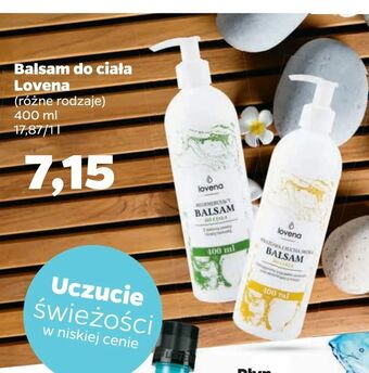 Netto Balsam do ciała Lovena oferta