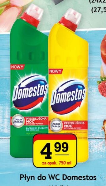 Gram Market Płyn do WC Domestos 750ml oferta