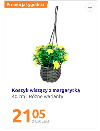 Action Koszyk wiszący z margarytką oferta