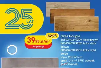 Castorama Gres Poupia 1m2 oferta