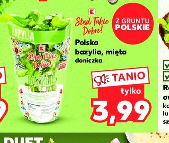 Kaufland Mięta oferta