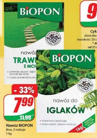 Dino Nawóz do trawników z mchem oferta