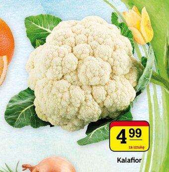 Gram Market Kalafior 1 szt. oferta