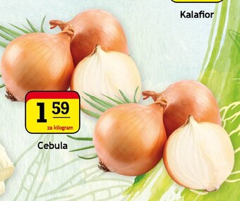 Gram Market Cebula 1kg oferta