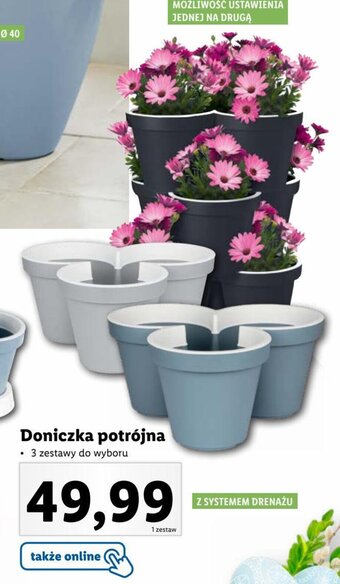 Lidl Doniczka potrójna oferta