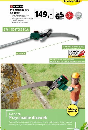 Lidl Piła teleskopowa do gałęzi oferta