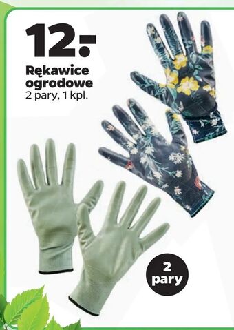 Netto Rękawice ogrodowe oferta