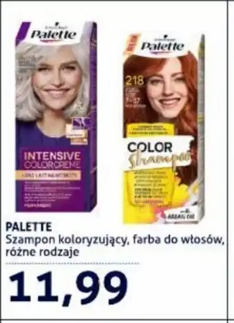 Blue Stop Palette szampon koloryzujący, farba do włosów oferta