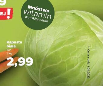 Netto Kapusta biała oferta