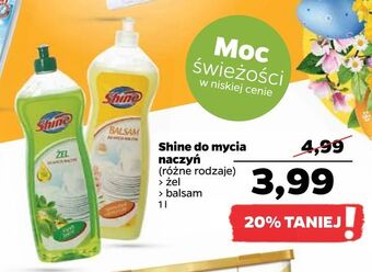 Netto Shine do mycia naczyń oferta