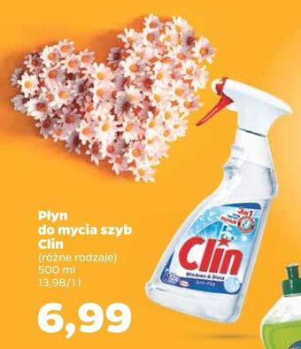 Netto Płyn do mycia szyb Clin oferta