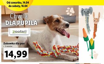Lidl Zabawka dla psa oferta