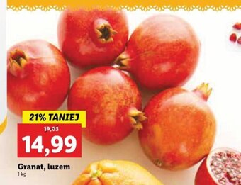 Lidl Granat 1kg oferta