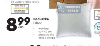 Biedronka Poduszka Ellan oferta