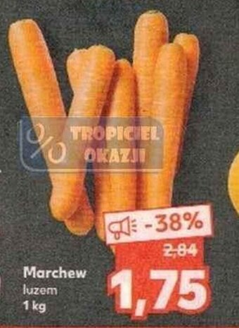 Kaufland Marchew 1kg oferta