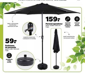 Netto Parasol ogrodowy oferta