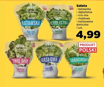 Netto Sałata oferta