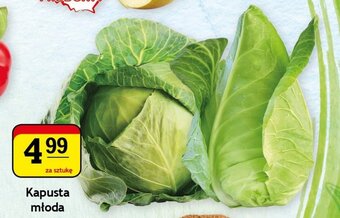 Gram Market Kapusta młoda 1szt. oferta