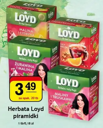 Gram Market Herbata Loyd piramidki 20tb. oferta