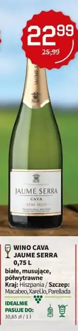 Duży Ben Wino Cava Jaume Serra 0,75l oferta