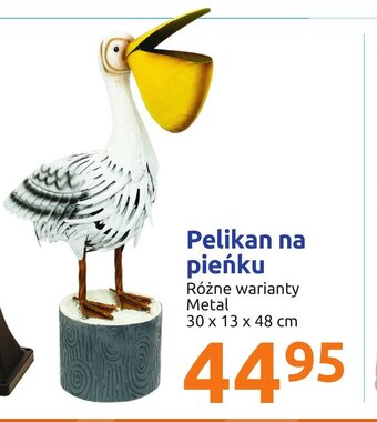 Action Pelikan na pieńku oferta