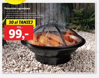 Lidl Palenisko ogrodowe oferta