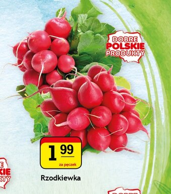 Gram Market Rzodkiewka 1 pęczek oferta