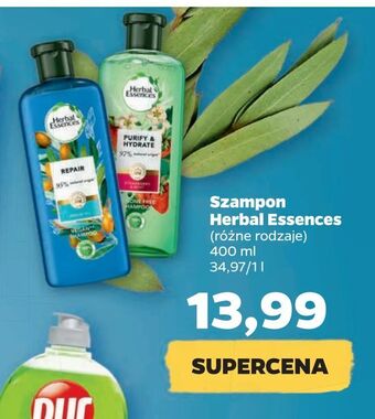Netto Szampon Herbal Essences oferta