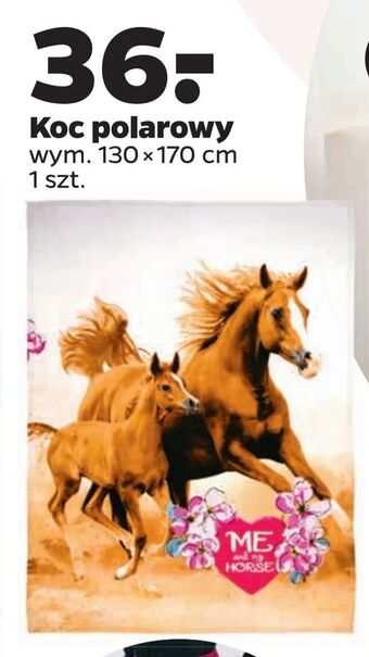 Netto Koc polarowy oferta