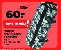 Netto Worek treningowy sandbag 50 x 16 x 20 cm oferta