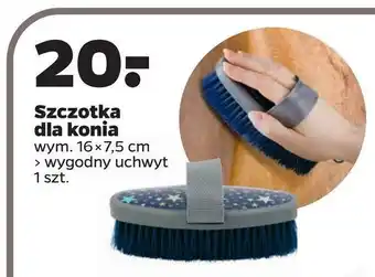 Netto Szczotka dla konia 16 x 7.5 cm oferta