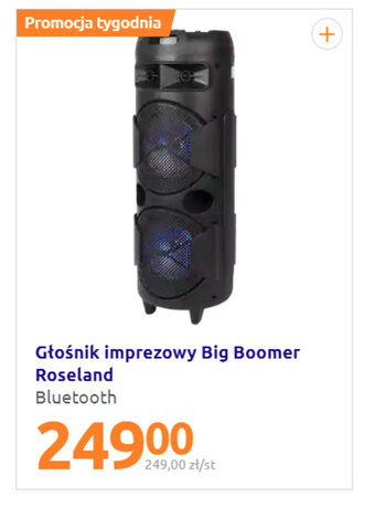 Action Głośnik imprezowy Big Boomer Roseland oferta