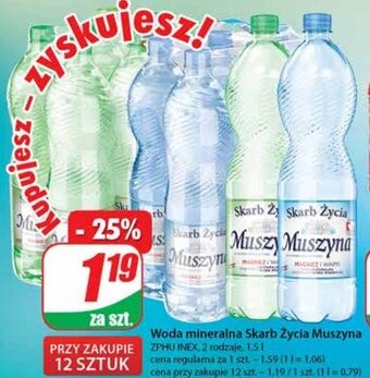 Dino Woda mineralna Skarb Życia Muszyna 1,5l oferta