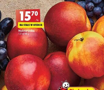 Biedronka Nektarynka 1kg oferta