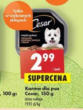 Biedronka Karma dla psa Cesar 150g oferta