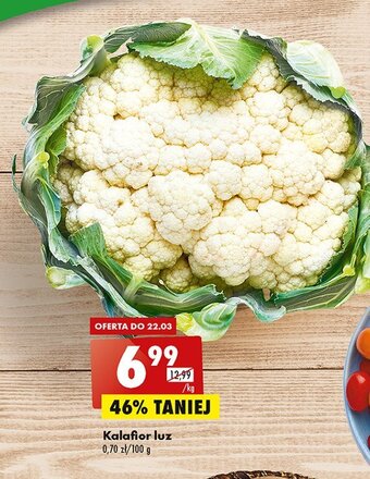 Netto Kalafior 1 SZT oferta